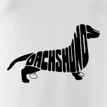 Jazvečík - Dachshund