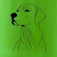 Labrador čierna kresba