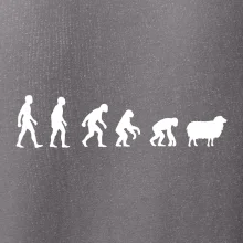 Evolúcia ovce