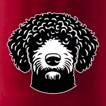 Lagotto romagnolo hlava na prsníku