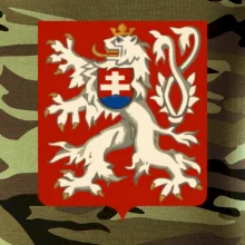 Znak maly Prvá Republika československá 1918–1920