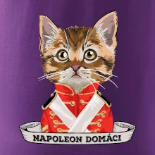 Napoleon domáci mačka