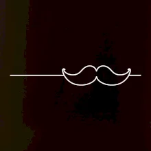 Linka fúzy Linka fúzy