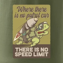 Korytnačka na cestách