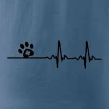 Veterinár EKG