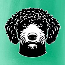 Lagotto romagnolo hlava na prsníku