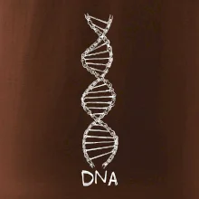Cyklistovo DNA