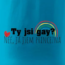 Gay princezna