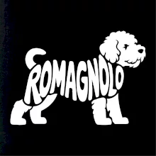 Romagnolo nápis v tele Romagnolo nápis v tele