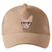 Hipster sphynx