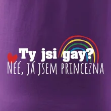 Gay princezna Gay princezna