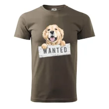 Zlatý retriever - šteniatko wanted