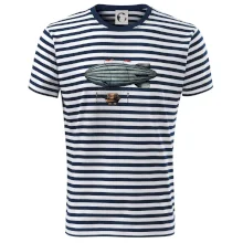 Vzducholoď farebná