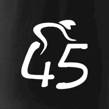 Cyklista oslavuje štyridsaťpäťku (45)