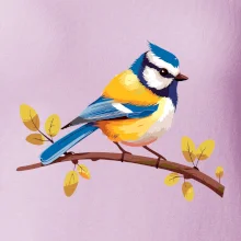 Sýkorka modrinka kreslená