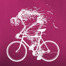 Cyklo kostra Cyklo kostra