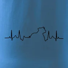 Stafordšírsky bulteriér ‎ EKG