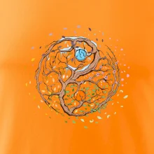 Yin & Yang strom - zima, leto