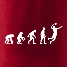 Evolúcia volejbal smeč