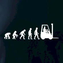 Evolúcia jašterica