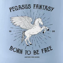 Pegasus fantasy