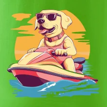 Zlatý retriever na vodnom skútri