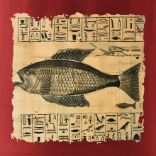 Egyptské hieroglyfy ryba