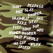 Generácia Z - Gén Z slovník