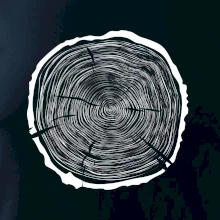 Letokruhy 65 bez veku