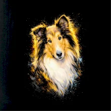 Obrázok poltón Šeltia hlava