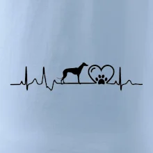Chrt - Ekg
