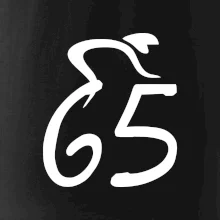 Cyklista oslavuje šesťdesiatpäťku (65)