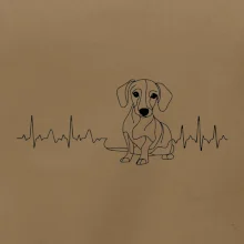 EKG krivka jazvečík