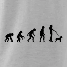 Lagotto romagnolo Evolúcia Lagotto romagnolo Evolúcia