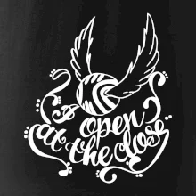 Harry - Zlatá strela