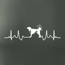 Český strakatý pes EKG