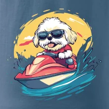 Lhasa Apso na vodnom skútri