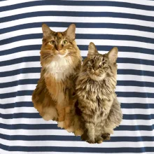 Mačky vectorizované (Moňas)