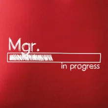 In progress titul Mgr. magister / magistra