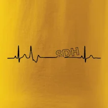 SDH EKG