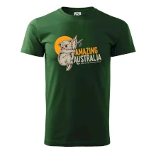 Amazing Australia koala Amazing Australia koala