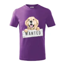 Zlatý retriever - šteniatko wanted