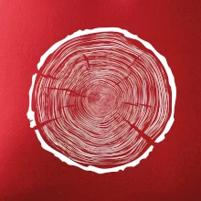 Letokruhy 100 bez veku