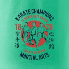 Karate Champions