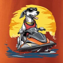 Chrt na vodnom skútri