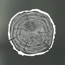 Letokruhy 65 bez veku