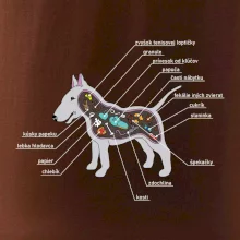 Tajomstvo bulteriéra s popisom (Pecka Design)