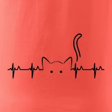 Mačka EKG