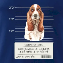 Baset - lump a darebák   Baset - lump a darebák