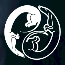 Jazvečíky - Jin jang